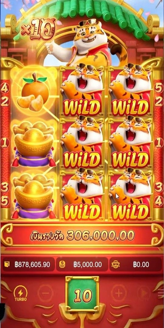 Betflash24 Casino game